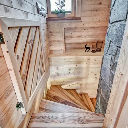 Regionalny Baligówka * Witów