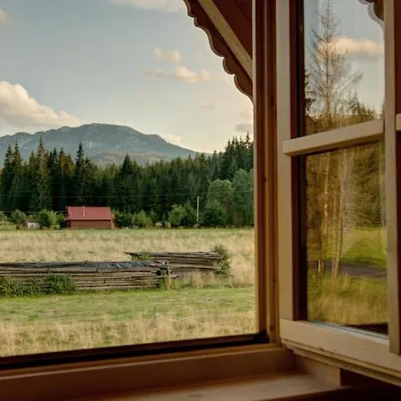 Regionalny Baligówka Witów