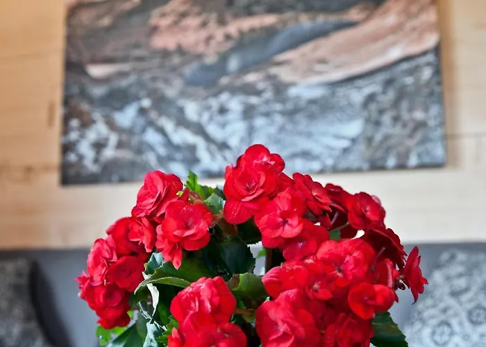 Regionalny Baligówka